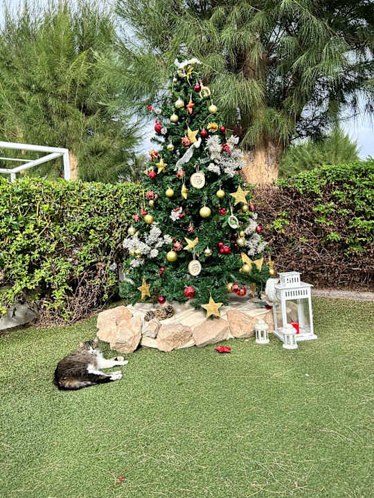 Sonstiges R2 Romantic Fantasia Suites - Adults only