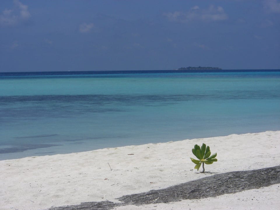Ein Traum... Summer Island Maldives