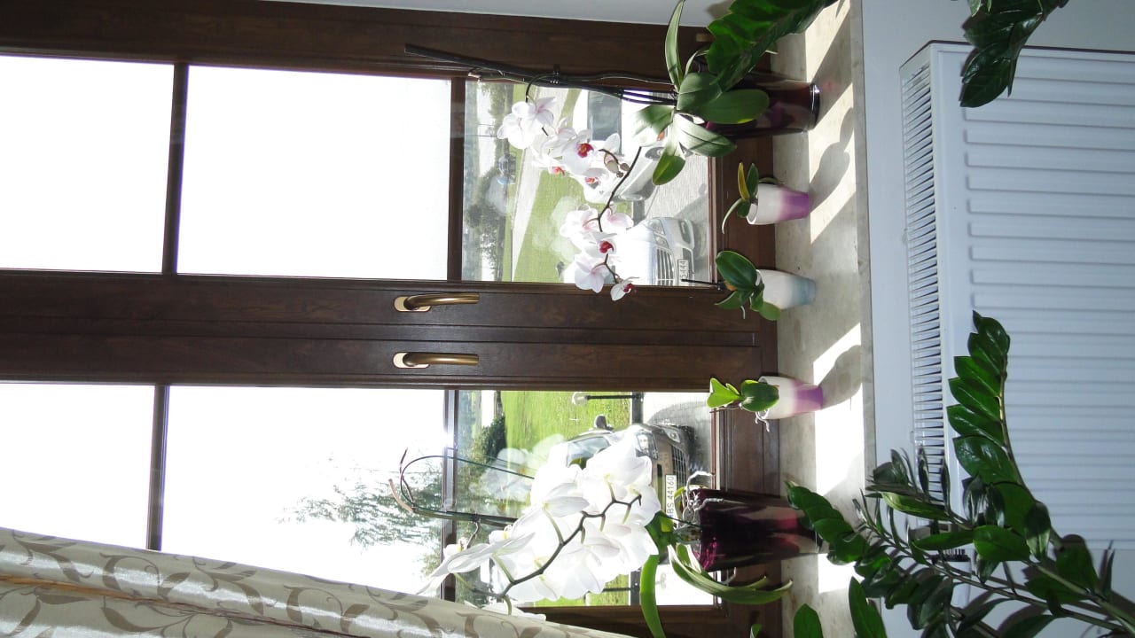 Widok z okna klatki schodowej Hotel Willa Adriana