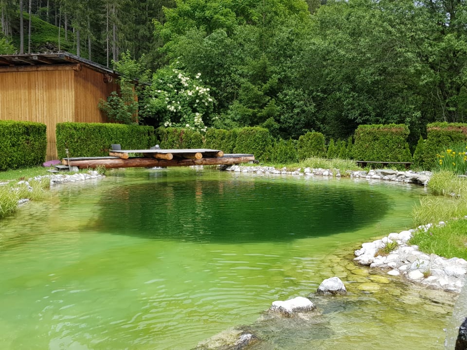 Pool Berghotel Jaga-Alm