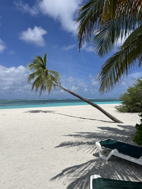 Strand Meeru Maldives Resort Island