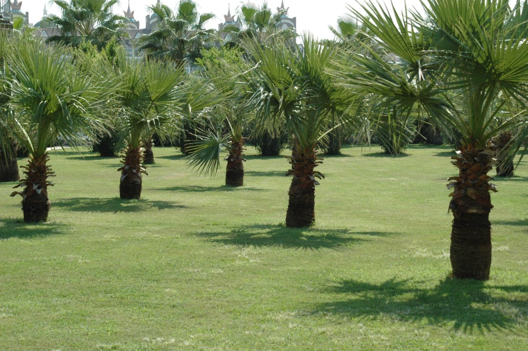 Eine tolle grüne Anlage. Hane Family Resort