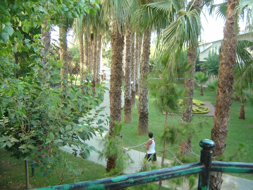 Weg zum Strand Und Beachbar Hotel Gardenia Beach