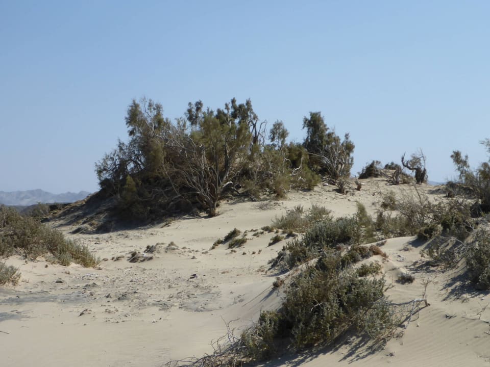 Strand           Shams Alam Beach Resort