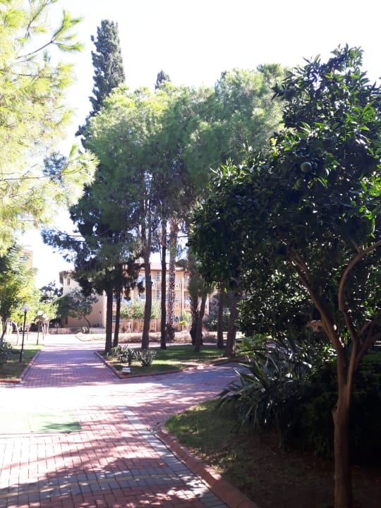 Außenanlage Lonicera Resort & Spa Hotel