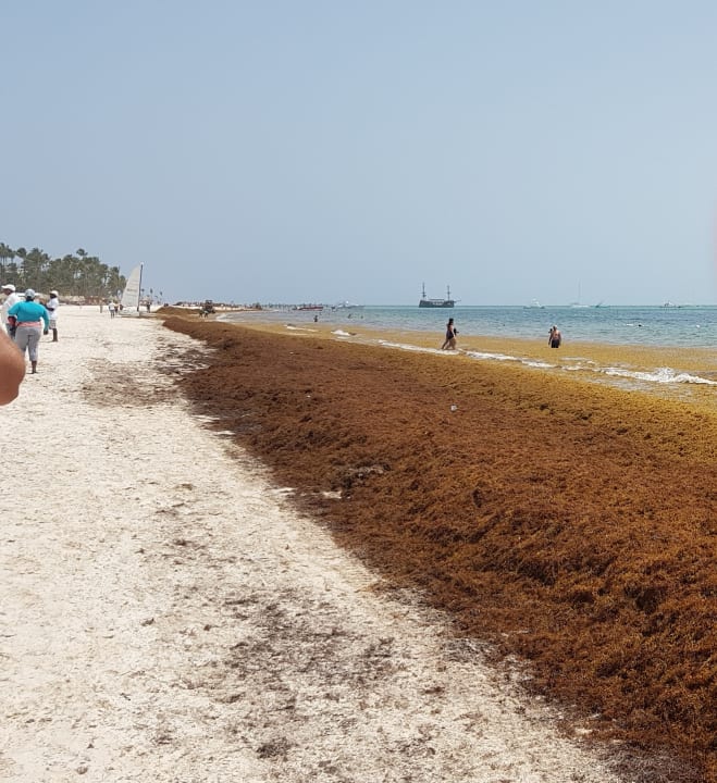 Strand Meliá Caribe Beach Resort-All Inclusive