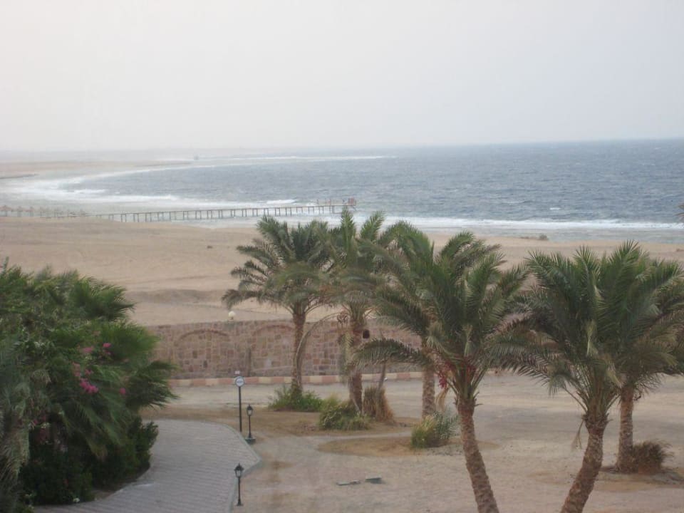 Ausblick Steigenberger Coraya Beach - Adults only