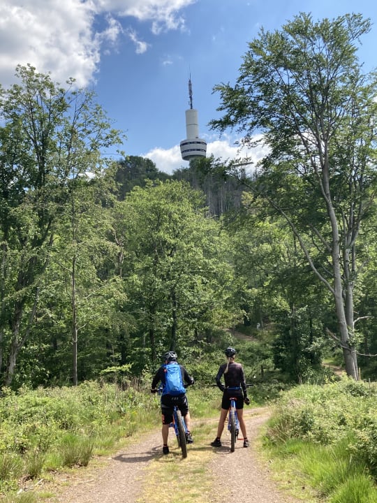 Sport & Freizeit Gesundheits- und VitalCenter Gollée