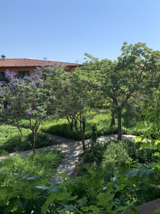 Gartenanlage TUI MAGIC LIFE Calabria