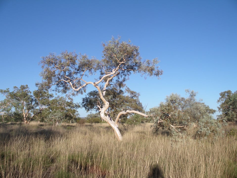 Natur pur Karijini Eco Retreat
