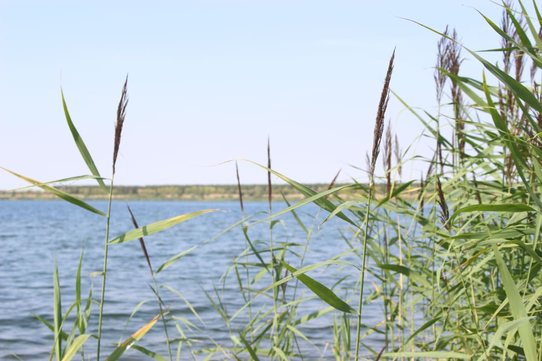 Sonstiges Lifestyle Ferienhaus Goitzsche-Ferien