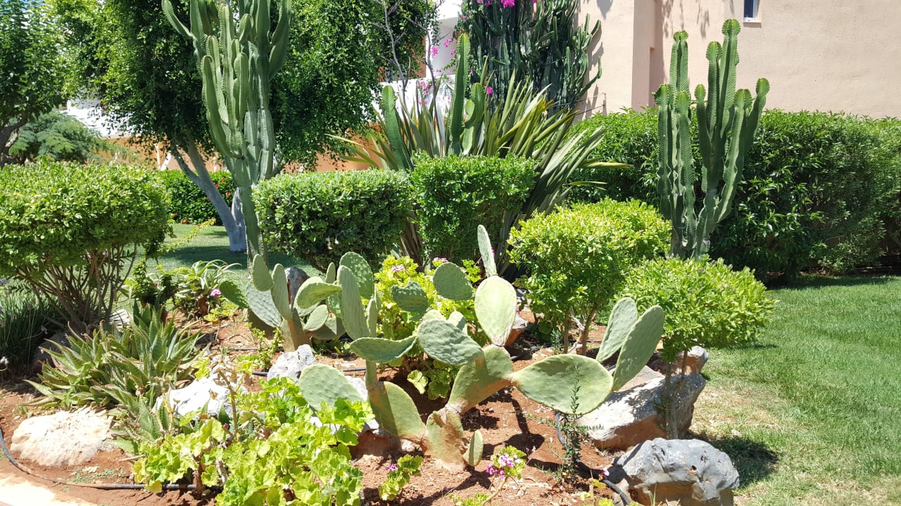 Garten Anissa Beach & Village