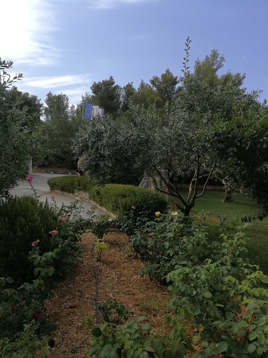 Gartenanlage Aminess Vival Casa Velaris