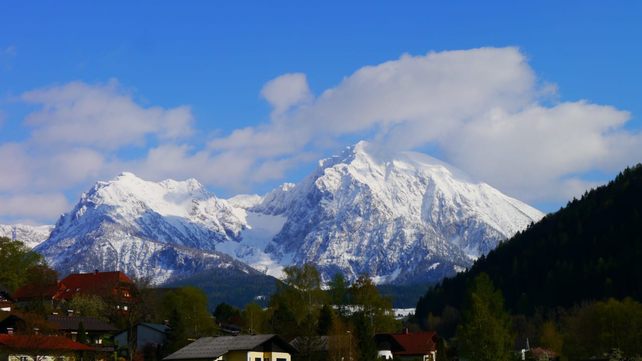 Ausblick aus Zimmerfenster Dilly - Das Nationalpark Resort