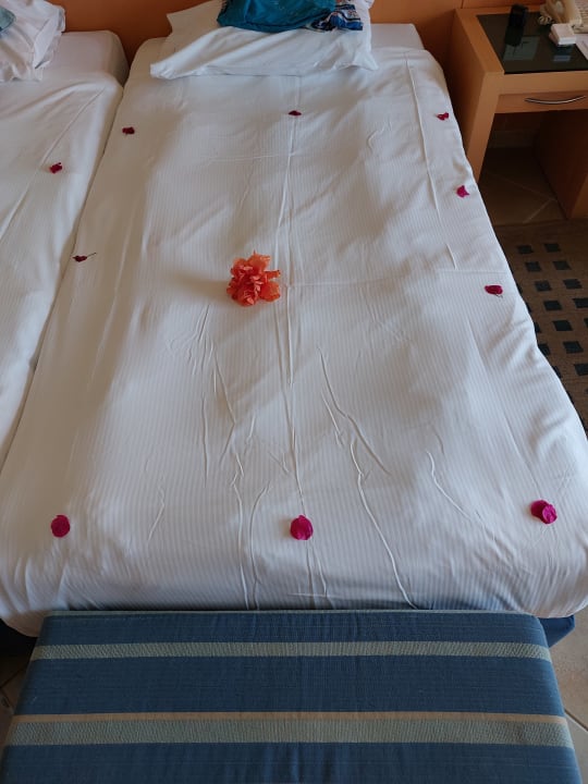 Zimmer Cleopatra Luxury Resort Makadi Bay