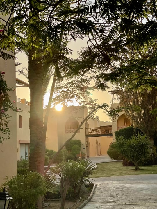 Gartenanlage Steigenberger Coraya Beach - Adults only