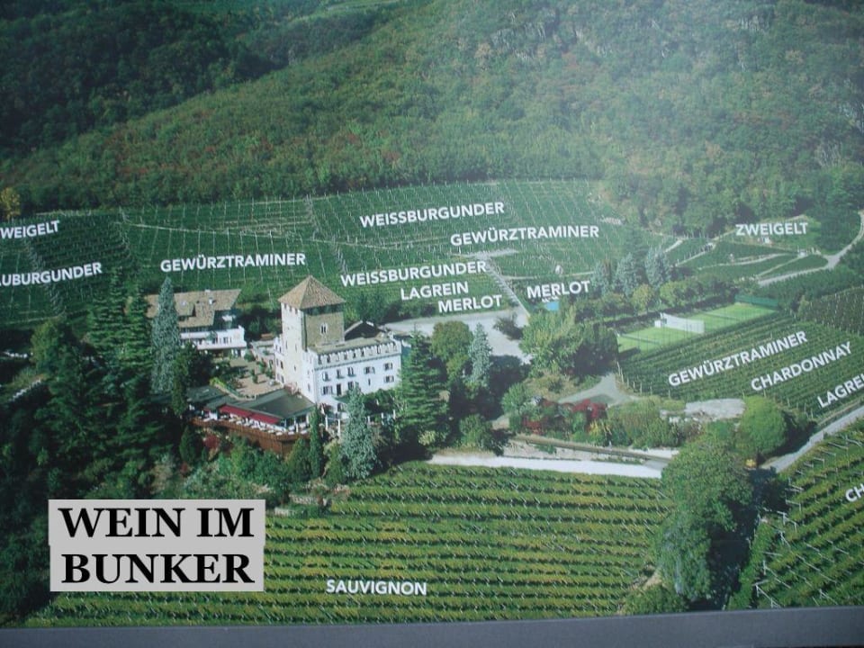 Die Weinlagen des Schloss Korb Schloss Hotel Korb