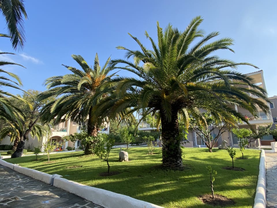 Gartenanlage Alexandra Beach Thassos Spa Resort