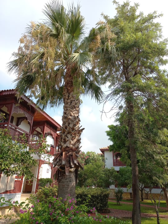 Gartenanlage Ali Bey Club