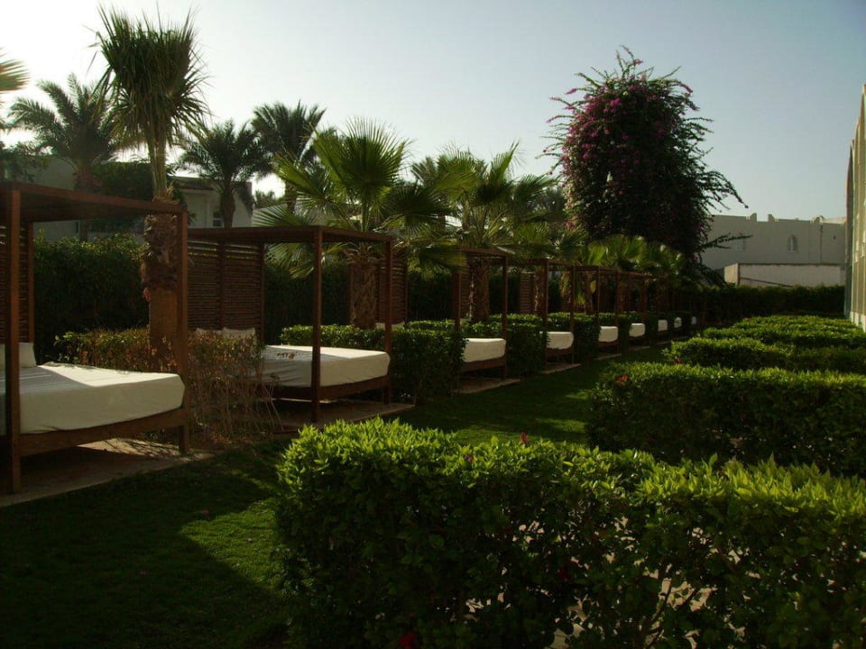 Blick aus dem Zimmer Reef Oasis Beach Resort
