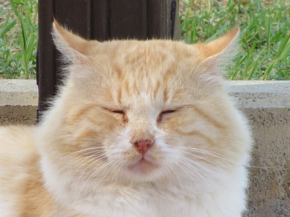 Garfield Lindos Princess Beach Resort & Spa