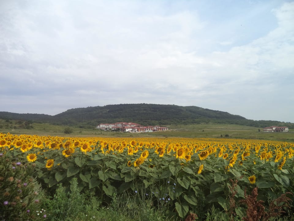 View Apart Hotel Harmony Hills Residence