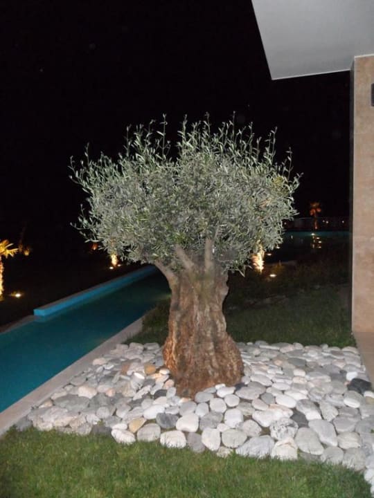 Eingang alltoura Club Hotel Poseidon Palace