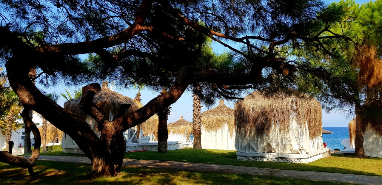 Gartenanlage Balmy Foresta