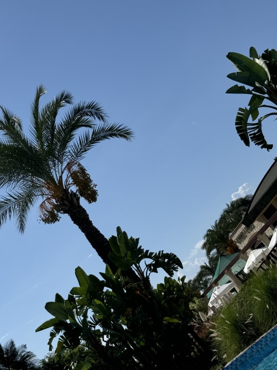 Außenansicht Sunis Kumköy Beach Resort Hotel & Spa