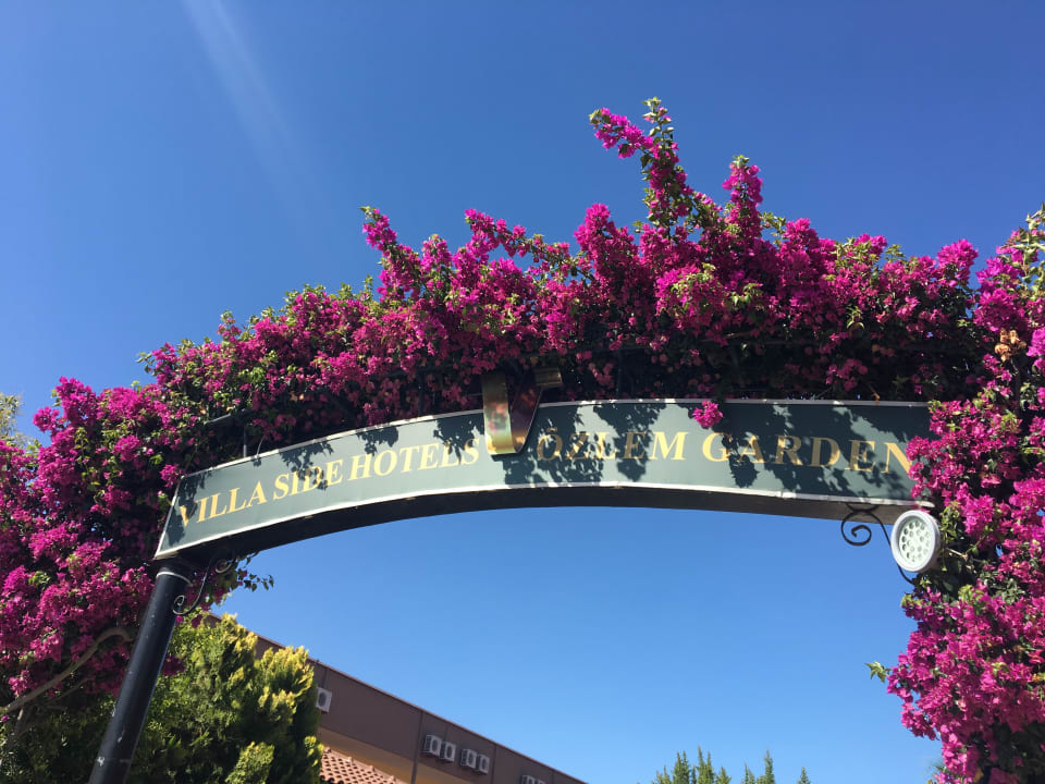 Sonstiges Özlem Garden Hotel