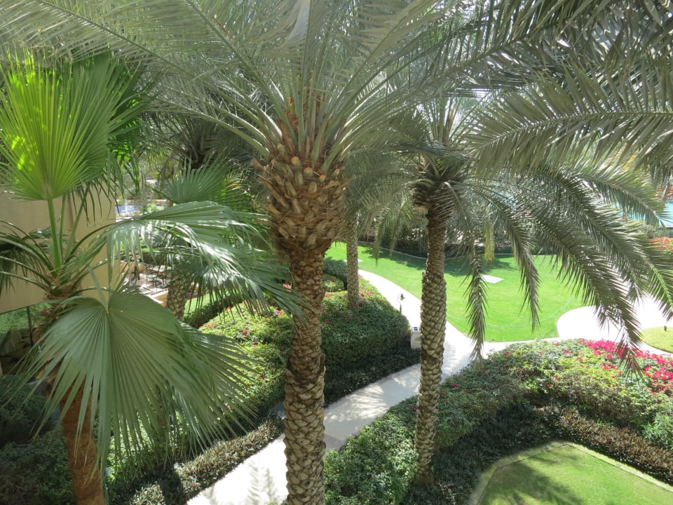 Ausblick vom Zimmer Arabian Court at One&Only Royal Mirage