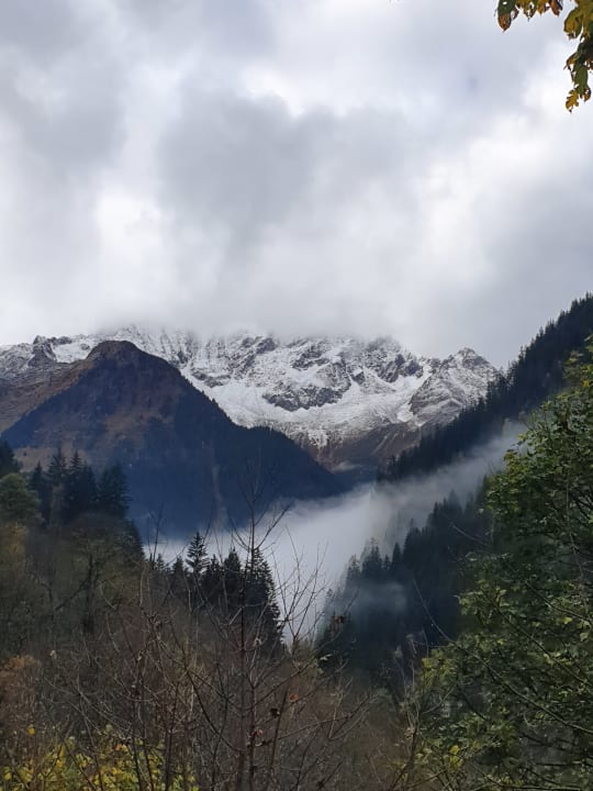 Ausblick Hotel Kohlerhof