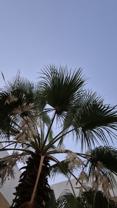 Gartenanlage Djerba Sun Beach Hotel & Spa