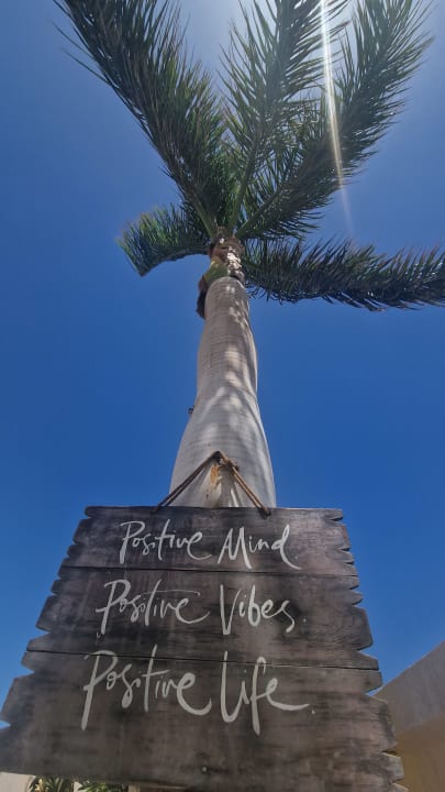 Gartenanlage Meraki Resort (Adults Only)