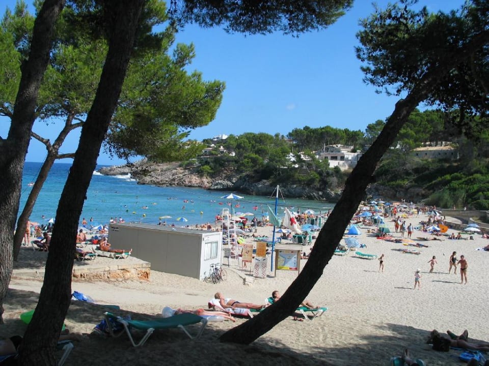 Strand Iberostar Waves Pinos Park