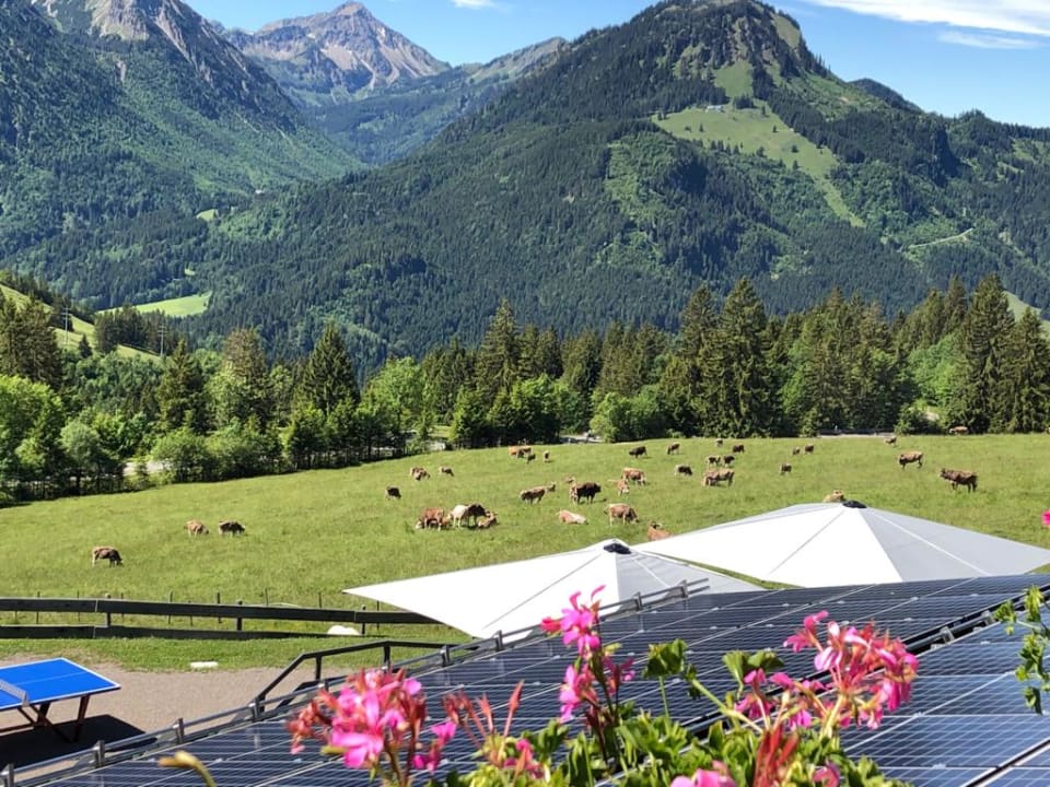 Ausblick Oberjoch - Familux Resort