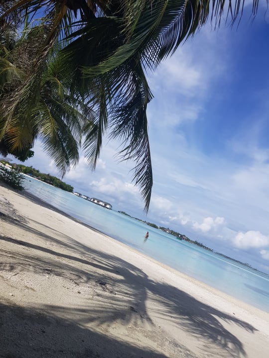 Strand Cinnamon Dhonveli Maldives