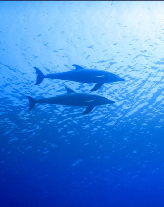 Strand Diamond Beach by Pearl Resort