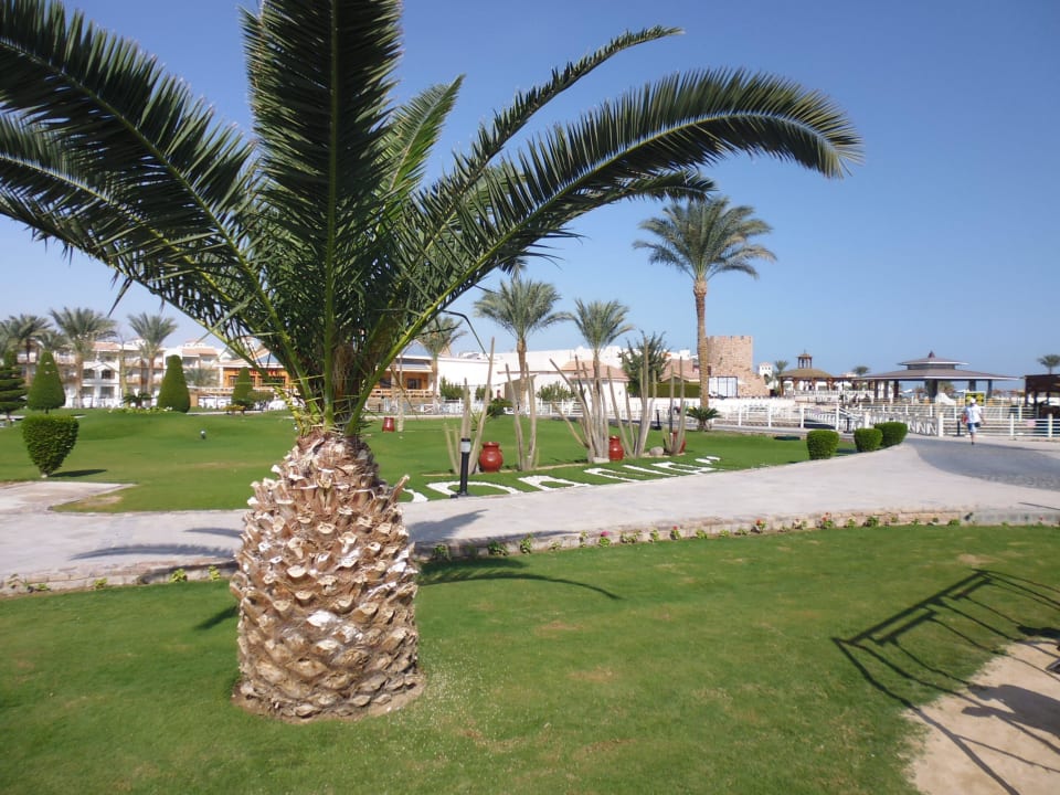 Saubere Anlage Pickalbatros Dana Beach Resort - Hurghada