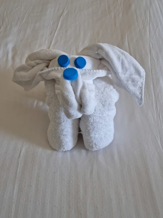 Zimmer Pickalbatros Palace Hotel-Port Ghalib