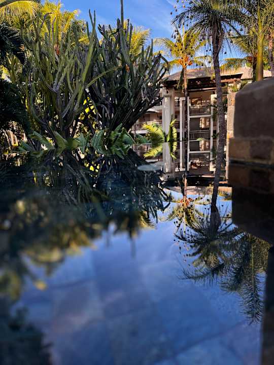 Gartenanlage Lagoon Attitude - Adults only