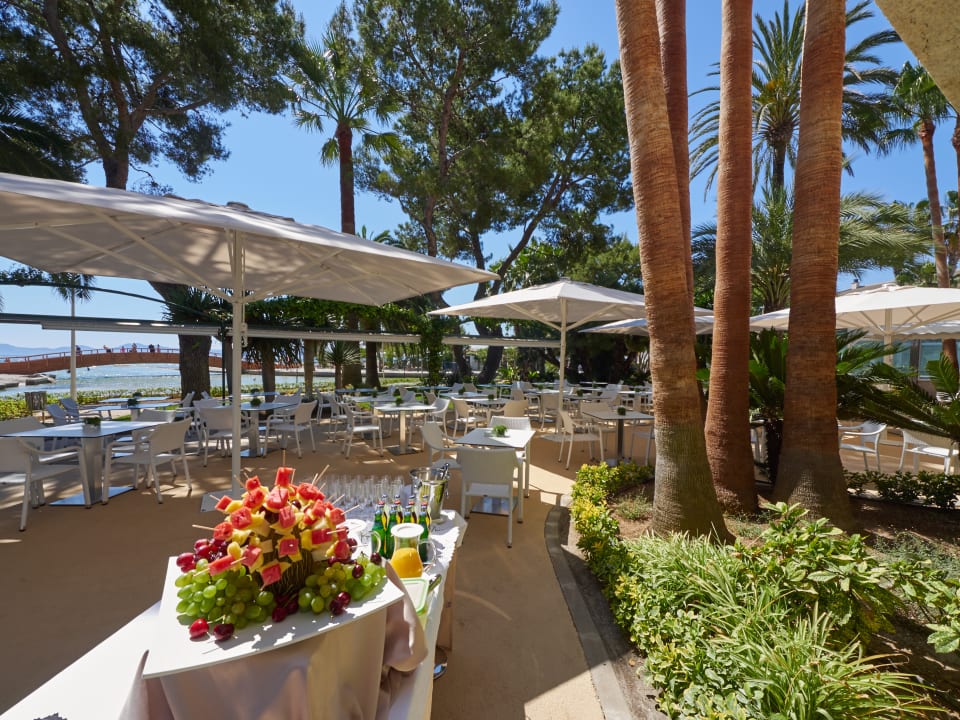 Gastro allsun App.-Hotel Orquidea Playa