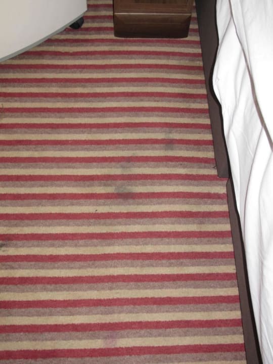 Teppich völlig verdreckt New Steine Hotel