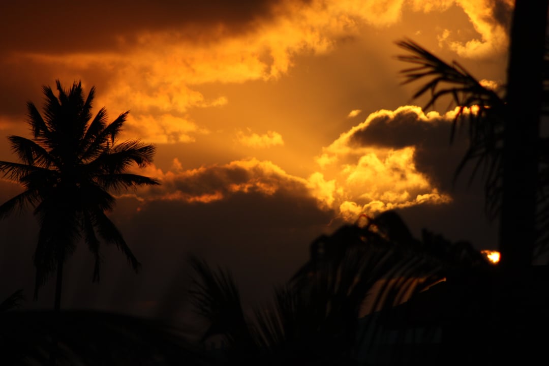 Sonnenaufgang Punta Cana Princess All Suites Resort & Spa