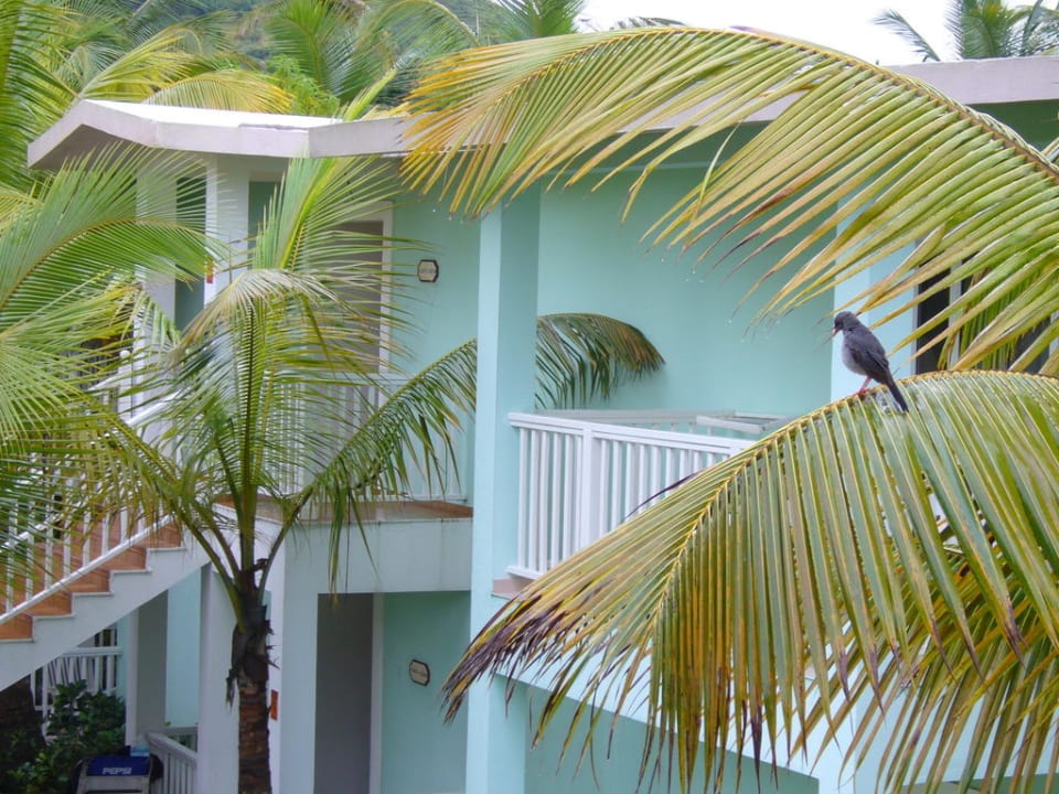 Blick vom Zimmer Playabachata Hotel
