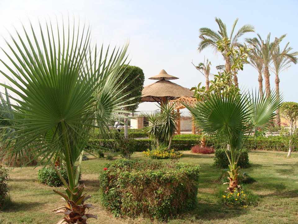 Alejki w ogrodzie Riviera Aqua Park Resort