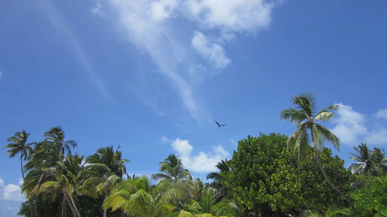 Flughund am Himmel Meeru Maldives Resort Island
