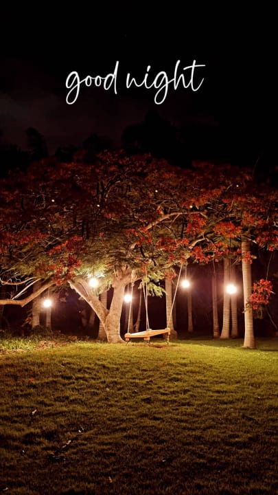 Gartenanlage Meliá Punta Cana Beach Resort - A Wellness Inclusive For Adults Only