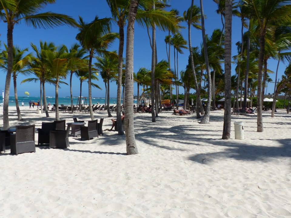Strand Dreams Royal Beach Punta Cana