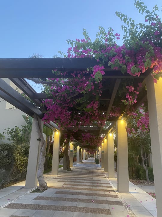 Gartenanlage Astir Odysseus Kos Resort & Spa